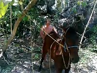 Mare river Gaybeast.com - Dude and animal Porn