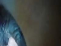 Mare1 Gaybeast.com - Animal Sex Man