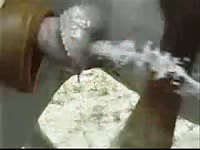 Horse Cum Compilation