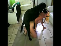 que rico me coje mi perro