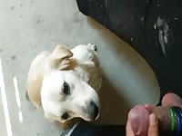 Dog and me