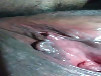 dulce co&ntilde;o,,,
