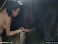 bestiality pornostar legal vids