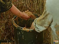 Horse Dung Lesbian - two girls love fucking