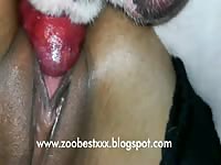 Wife Complains of Overflowing Cum Inside Her zoobestxxx (3)