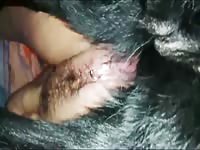 Mex hotwife compilation husband film