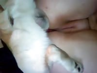 Knot for chubby