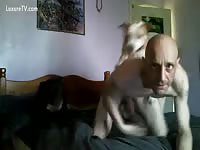 Man and dog