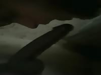 Throating bbc toy
