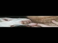 Dog licks man 