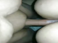 Bbw doggy style 