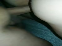 Bbw creams on dick