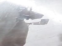 Straight friend wanking in shower