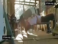 Dog face fuck 