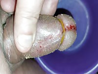 Futter f&uuml;r maggots cbt insertion bdsm pervers