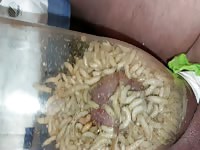 Futter f&uuml;r maggots cbt insertion bdsm pervers