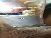 Pain cbt insertion bdsm pervers futter f&uuml;r maggots