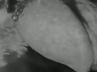 Late night visitor 
