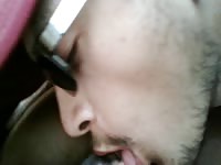 Tasty mare pussy