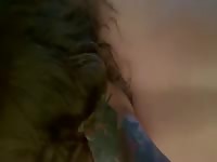 Fucking my girlfriend 