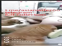 Chinese zoo porn 2