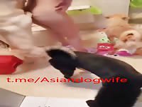 Chinese wife hiding her dogs in bathroom 2