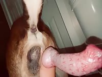 Cumshot 