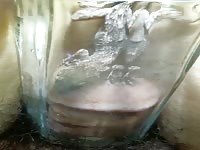 Playing with a gecko