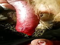Sucking my sweet golden boy 
