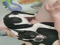 Chinese couple love dog's semen