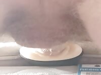Cumming from sex toy pussy fuck