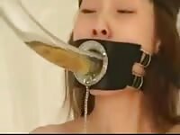 Japanese Urinal