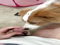 giving him his first taste
