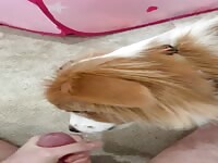 giving him his first taste pt. 2