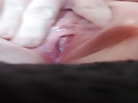 Creamy Pussy