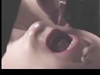 I love to suck my Dogs Cock 