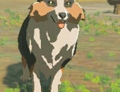 FreedomDoggy