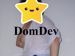 DomDev