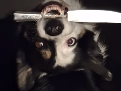 M4DMUTTZ