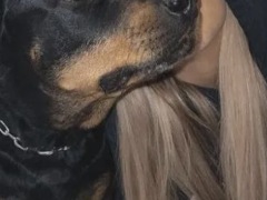 Maya